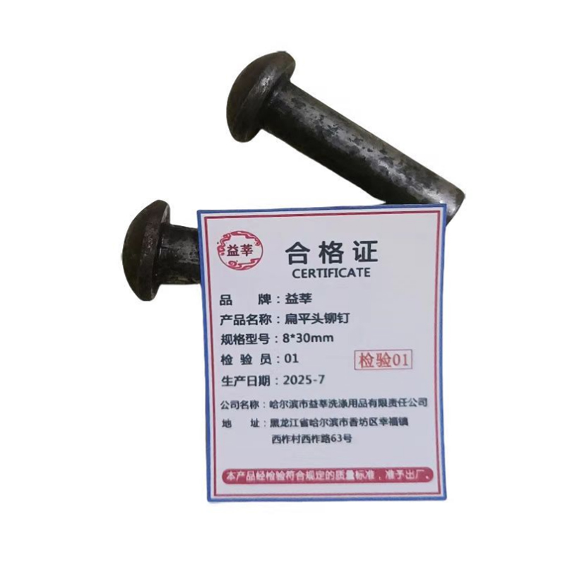 益莘 扁平头铆钉 8*30mm 个高清大图