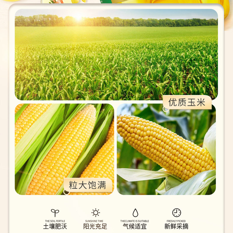 金龙鱼优选玉米油5.43L*2桶非转基因压榨炒菜烹饪食用油清淡不油腻高清大图