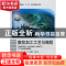 正版 数控加工工艺与编程 钱红,崔亚军,杨兴国主编 北京理工大