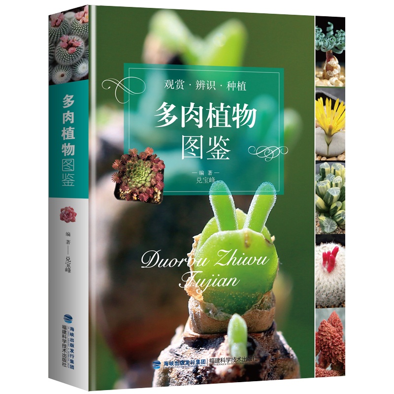 [醉染正版]多肉植物图鉴 兑宝峰 著 养花书籍高清大图