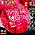 【西沛生鲜】云南金都一号红心火龙果 净重4.8斤 特大果 箱装 热带水果 当季新鲜水果