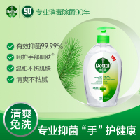 Dettol滴露免洗抑菌洗手液500g*2清洁双手清爽不粘腻有效抑菌99.9%无需用水含甘油护手