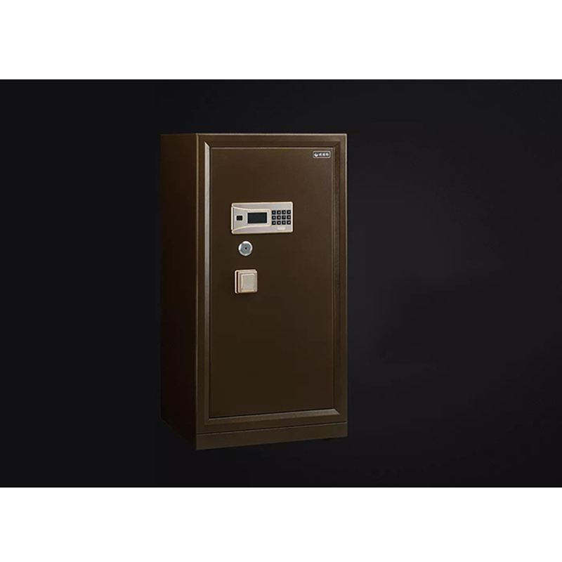 威盾斯(WEIDUNSI) 朗威系列II BGX-5/D1-100T5 保管箱(七包服务)