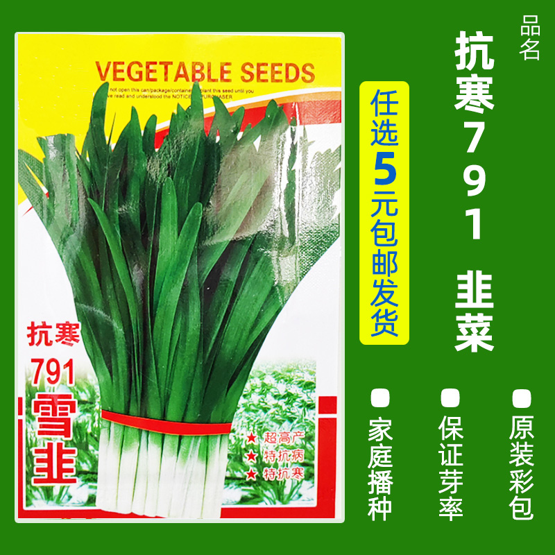 【补贴10%】四季蔬菜种子青菜香菜白菜生菜小葱黄瓜阳台盆栽香瓜冰糖 B44-雪菲韭菜约4.5克 均码