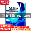 Copula界的理论研究及其在多元VaR界中的应用