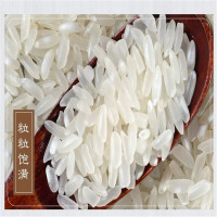 诺敏河寒香苗稻香