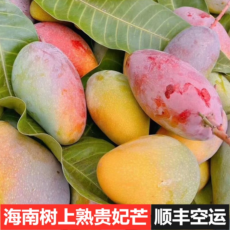 产地直发海南七彩贵妃芒5斤装优选大果15个内三亚精品芒果顺丰空运
