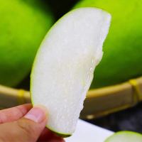 绿宝石梨翠冠梨皇冠梨梨子苹果梨5斤装约5-9个