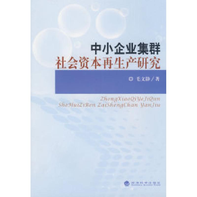 正版新书]中小企业集群社会资本再生产研究毛文静9787505876941高清大图