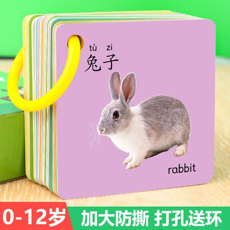 幼儿动物卡片06岁宝宝学习有图早教动物交通识图看图识物认字卡视频