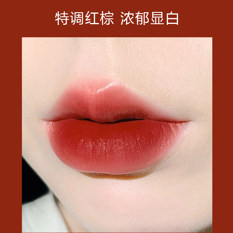 [国内专柜版]ESTĒE LAUDER 雅诗兰黛 绝色倾慕唇膏口红 3.5g #333干枫叶色 持久保湿不掉色