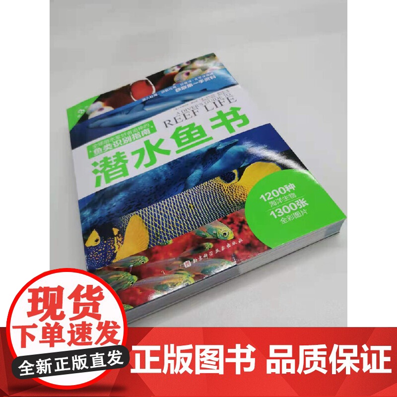 水下摄影 鱼类识别潜水爱好者喜爱的珊瑚礁鱼类识别指南书 潜水爱好者几乎人手一本的“鱼书 告别鱼盲 变身鱼类专家高清大图