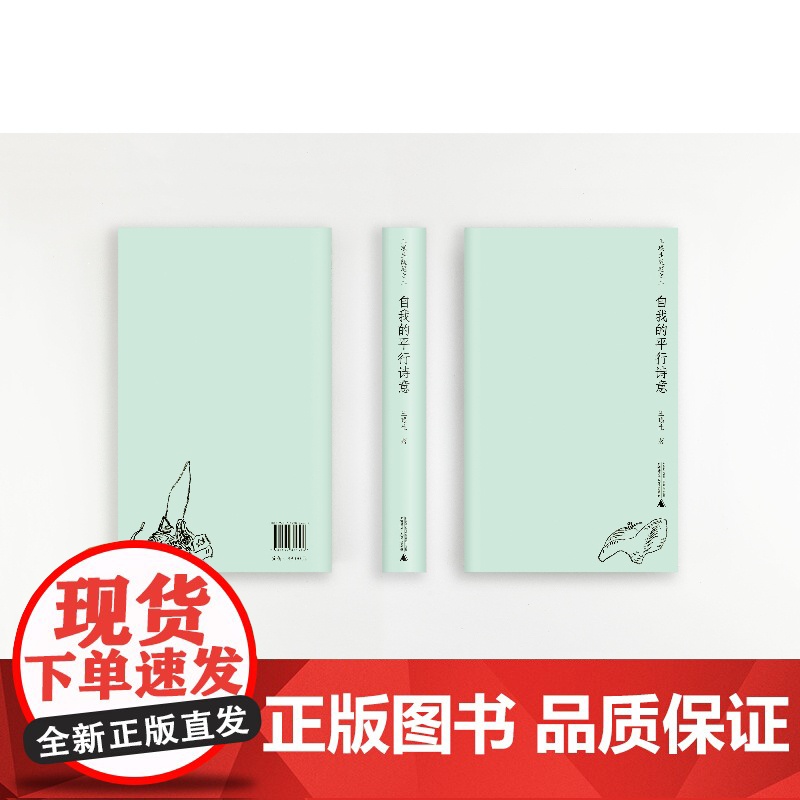 自我的平行诗意 王璜生 著 随笔、艺术、家乡、美术馆 走进艺术家王璜生的多彩人生与艺术世界高清大图