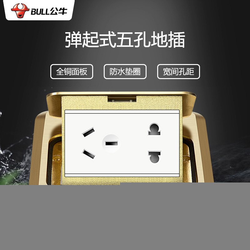 BULL公牛 GD1Z222 地插