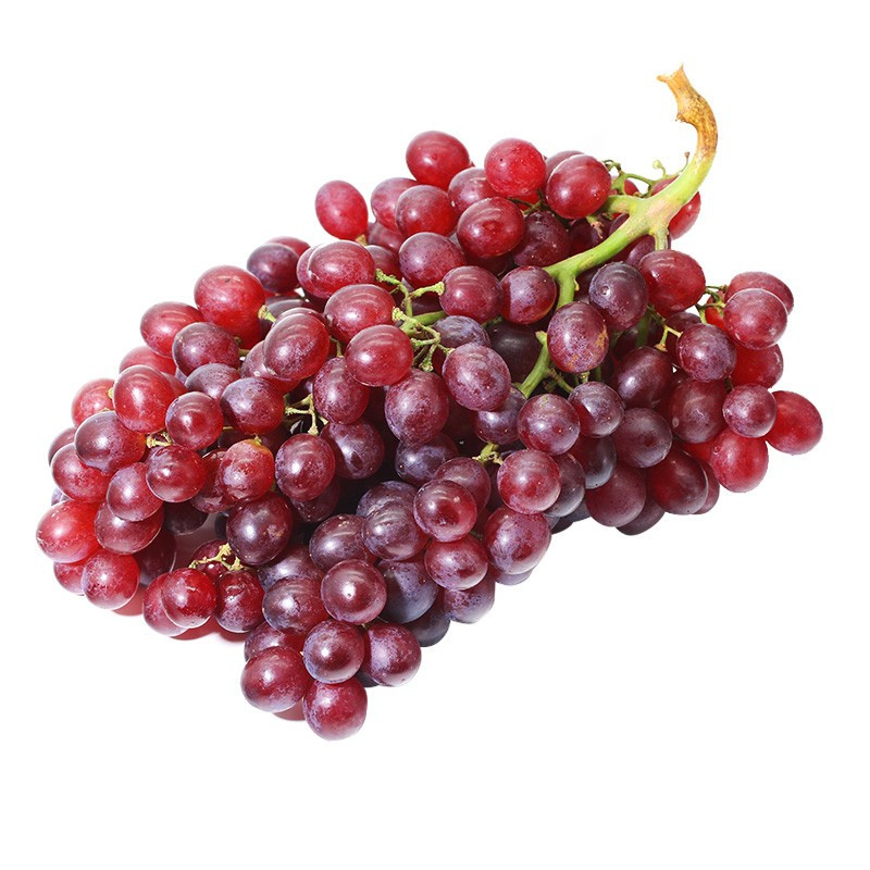 伟祺园艺种晚熟葡萄苗红宝石无核葡萄苗当年结果盆栽地栽葡萄树苗