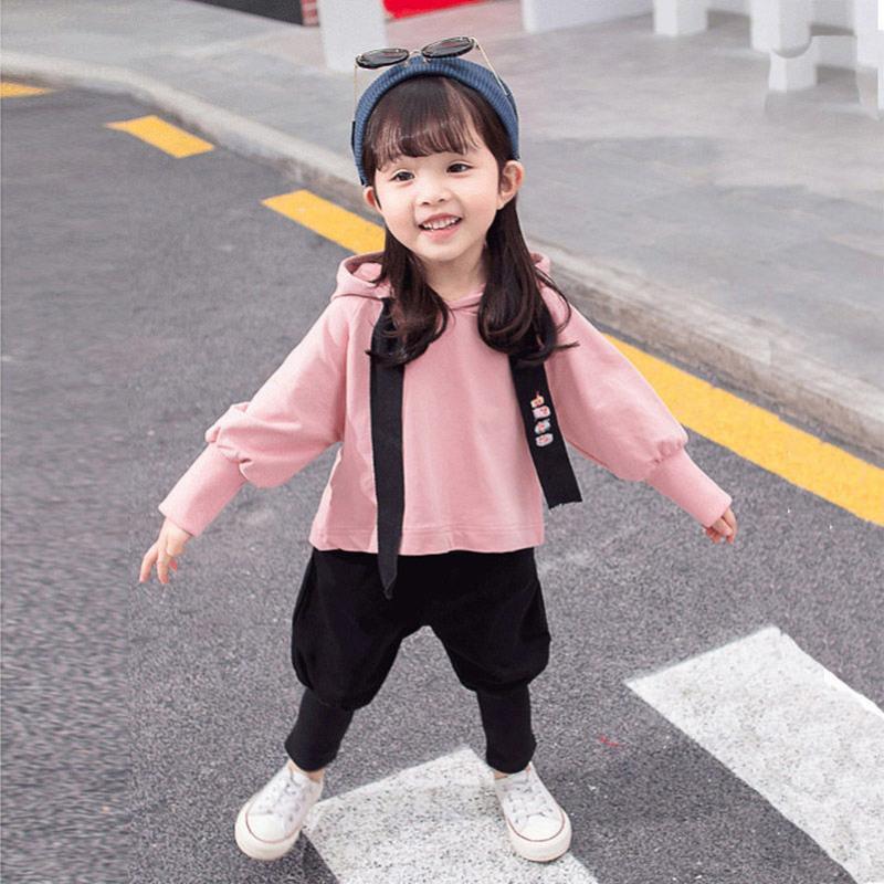 女童套装2020秋装新款童装儿童两件套韩版衣服小童春秋飞袖洋气潮 粉色韩版宽松长袖套z HSY 73 建议4-6个月