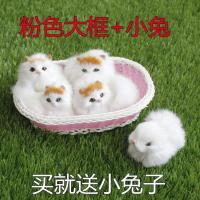 仿真动物模型猫咪仿真皮毛不会叫小猫咪公仔动物套装玩具儿童女生 粉红色