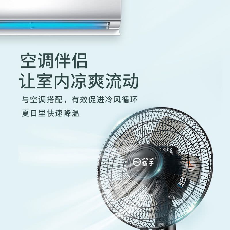 扬子电风扇台扇家用大风力台式桌面办公室宿舍小电扇耐用实惠价老品牌学生宿舍厂房 12寸黑色塑叶图片