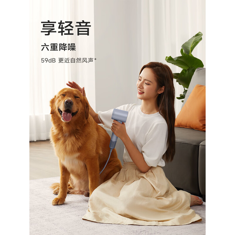 徕芬 高速吹风机 LF03 闪银高清大图
