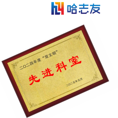 哈志友豪华砂金奖牌定制HZY001