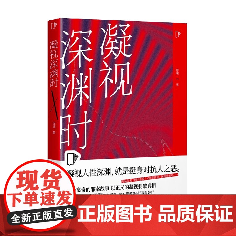 凝视深渊时 徐瑞 著 小说