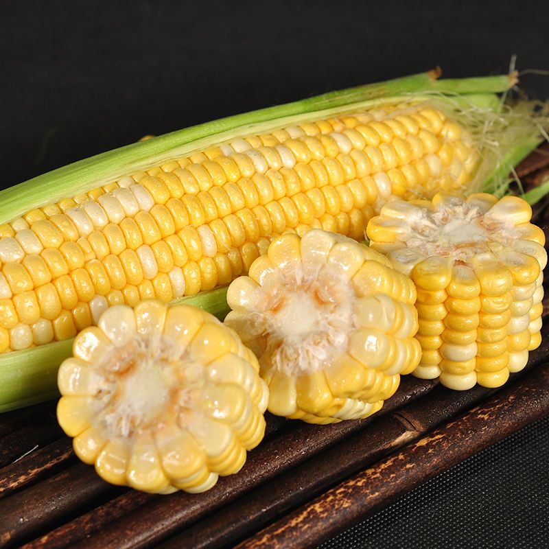 云南新鲜水果玉米棒 苞谷当季时令蔬菜甜脆玉米 精选装:10斤带箱(净重
