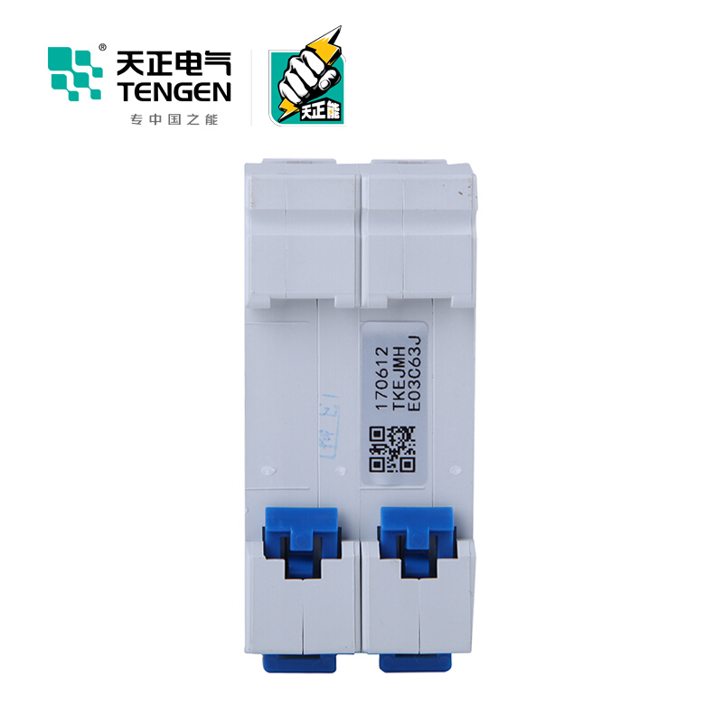 天正电气 空气开关 DZ47-63 2P C 63A 4.5KA 01060020274 微型断路器