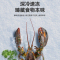 荣事达(Royalstar)四门三温法式冰箱冷藏冷冻软冷冻家用大容量多门电冰箱节能冰箱BCD-408M9RGZ钛深灰
