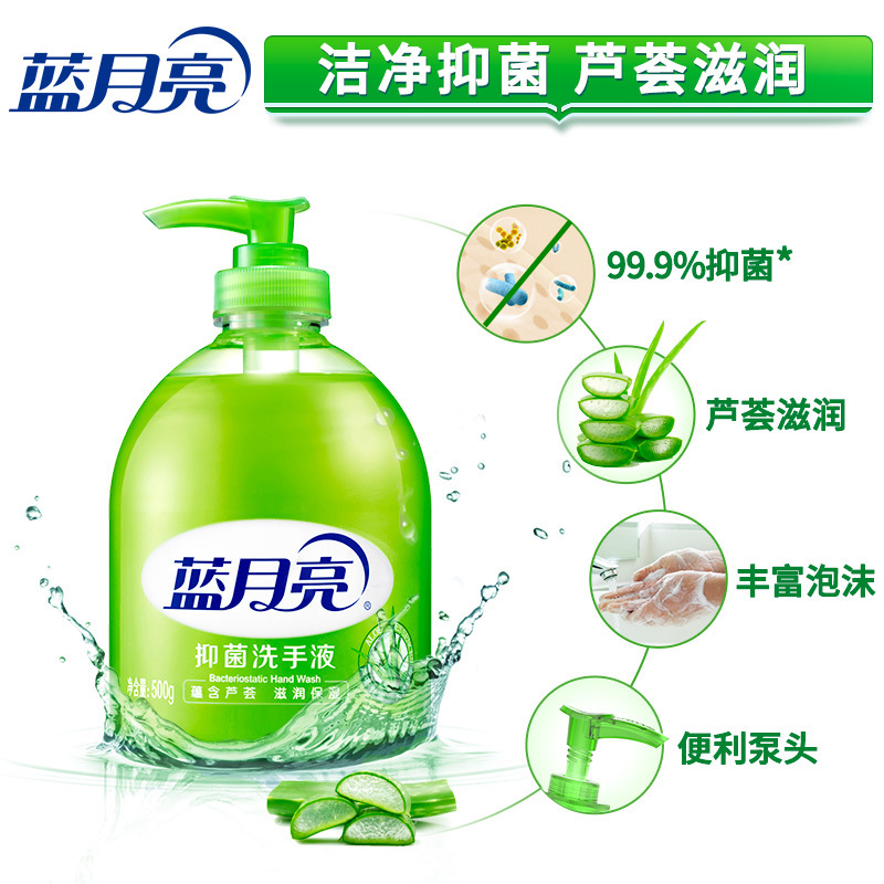 蓝月亮 芦荟抑菌洗手液 500g(单位:瓶)