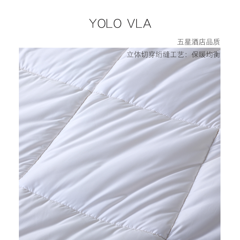 悠恋娜YOLO VLA春秋被芯单人双人被子二合一子母被