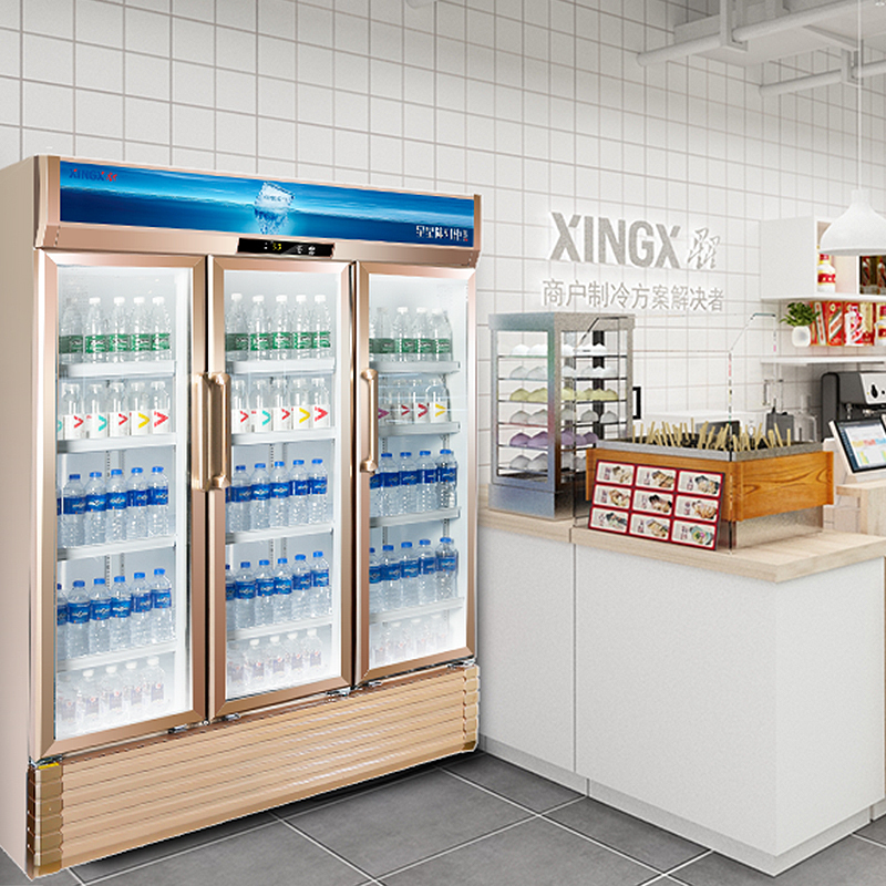 星星(XINGX) 风冷展示柜立式双门三门冷藏柜陈列柜饮料大容量保鲜柜便利店超市冰柜啤酒冷饮柜 LSC-1100WD高清大图