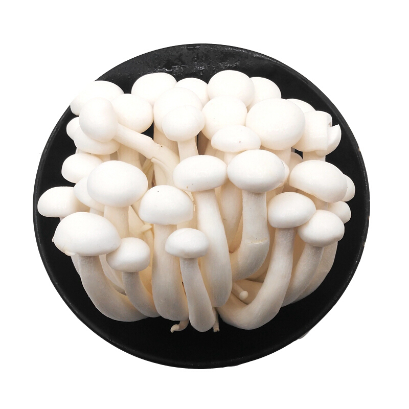 白玉菇150g盒新鲜蔬菜菌类时鲜菌类新鲜蘑菇日天生鲜可开发票