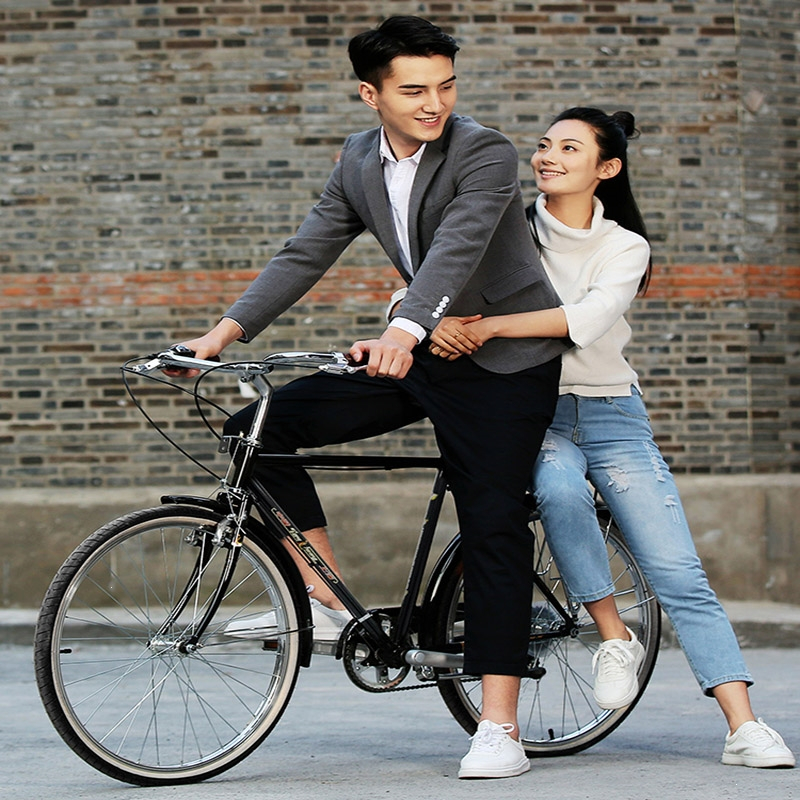 凤凰phoenix大梁加重自行车男士普通复古通勤老式二八大杠文艺单车26