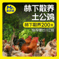 蛋鲜森林下散养200天土公鸡1kg±100g/只 真空净膛 顺丰源头直发 一只装