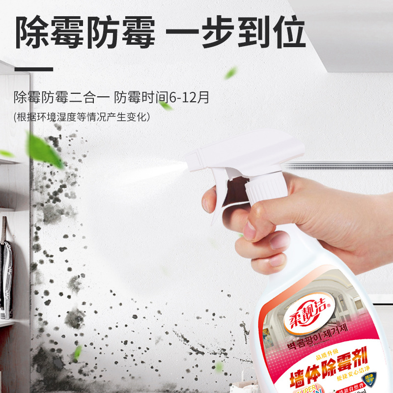 墙体除霉剂500g/瓶*4瓶 墙面除霉剂墙体白墙去污神器去霉斑霉菌喷雾大扫除清洁剂高清大图