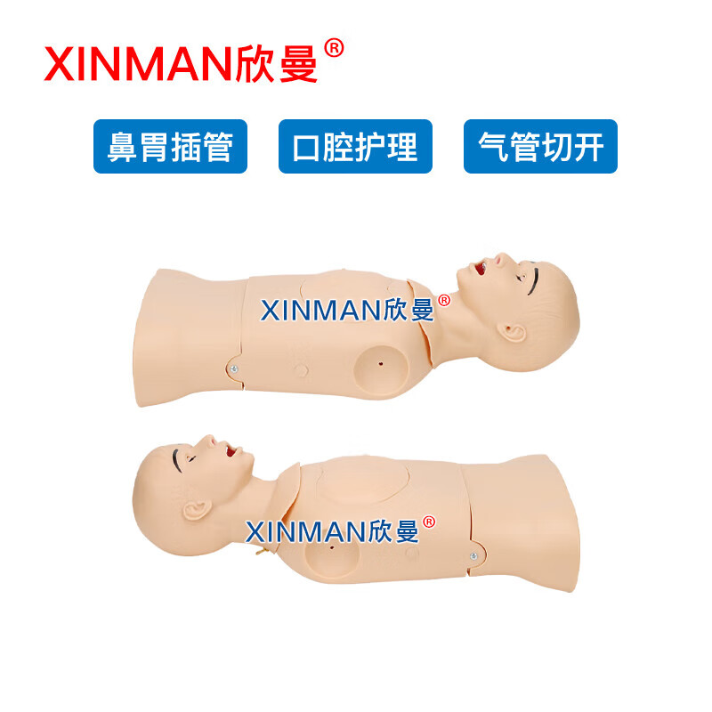 欣曼 高级鼻胃插管及口腔护理模型人 鼻饲模型XM-BWGA高清大图