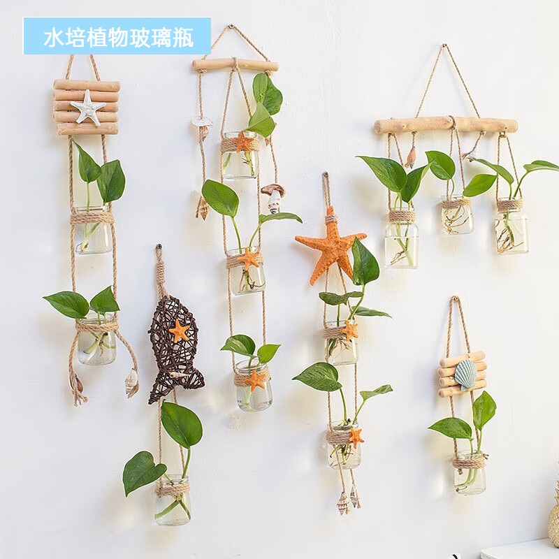 绿植墙海螺三杯
