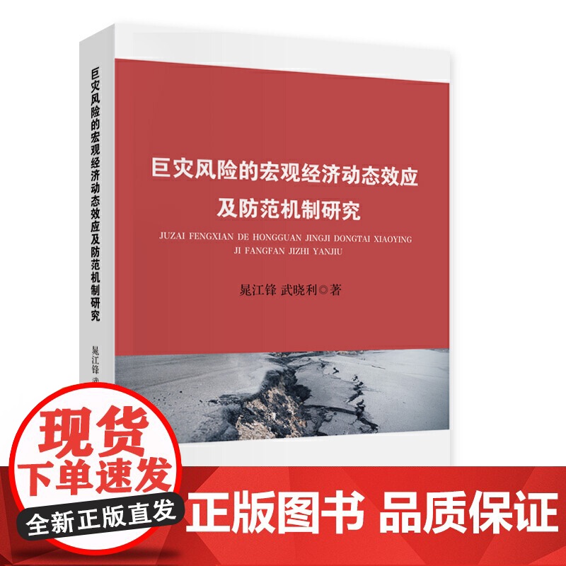 巨灾风险的宏观经济动态效应及防范机制研究高清大图