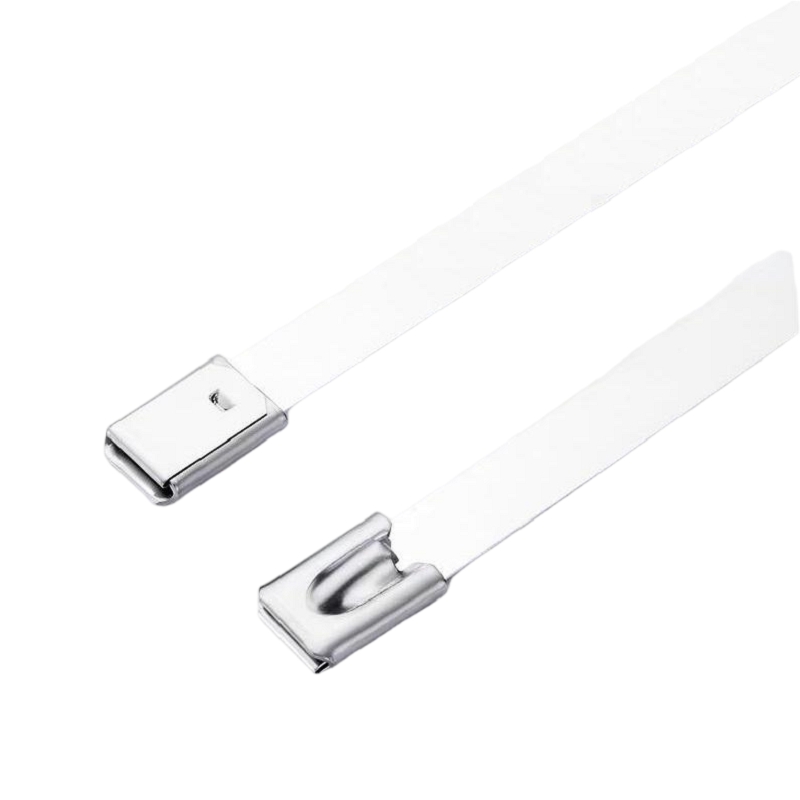 浪伍 304不锈钢扎带 19*2200mm(单位:根)高清大图