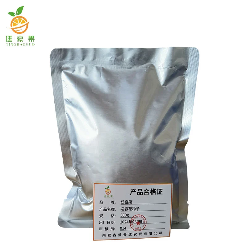 廷豪果 迎春花种子 连翘种子 500g 袋高清大图