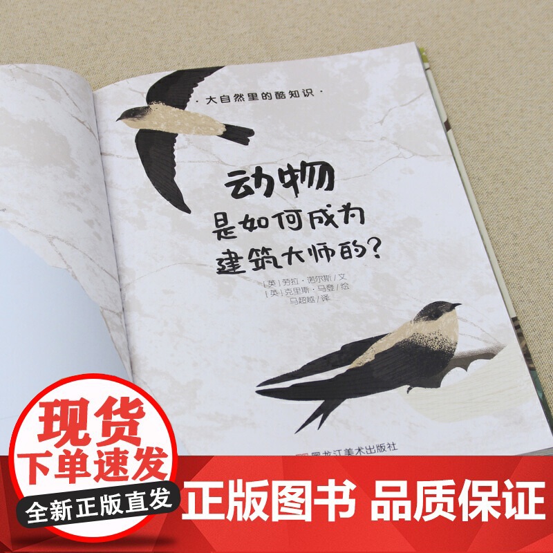 大自然里的酷知识:动物是如何成为建筑大师的?高清大图