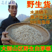绿植山区野生白茅根500克白茅根干品白毛根甜根坚根茅针白茅