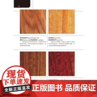 木材选材实用图鉴 木匠 手工艺人 室内设计师 木材选购 板材锯切 北京科学技术