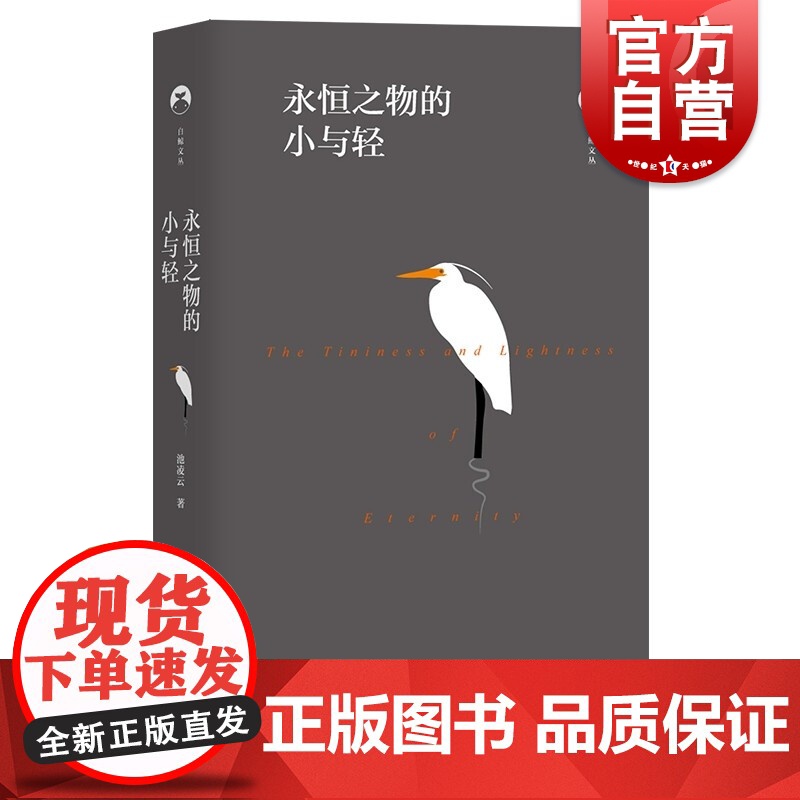 永恒之物的小与轻 池凌云 著 上海教育出版社高清大图