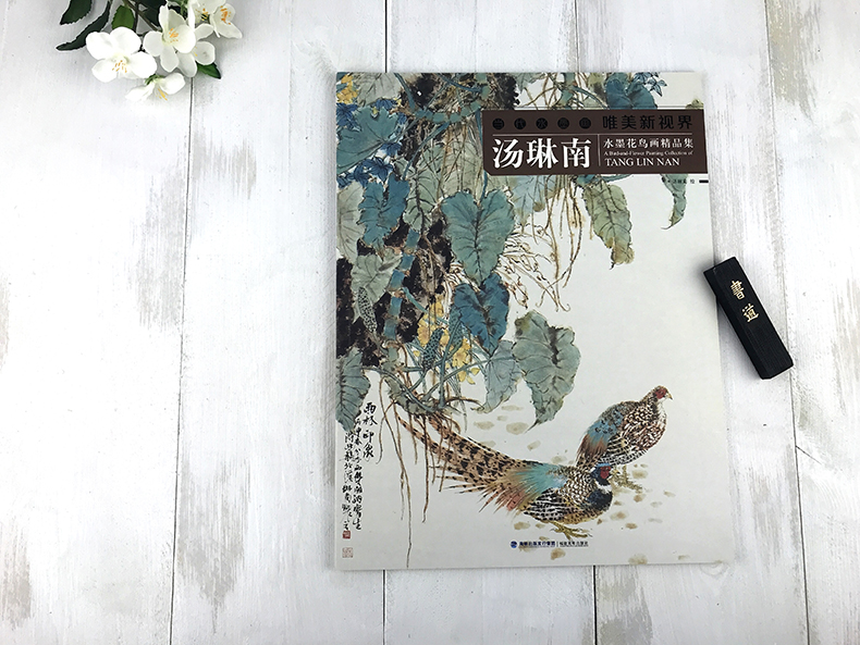 [醉染正版]当代水墨画唯美新视界 汤琳南/水墨花鸟画精品集/白描底稿画谱勾勒技法解析/国画花鸟水墨画临摹画册毛笔绘画入门高清大图