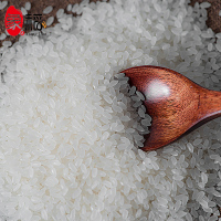 象稻东北长粒香米5kg