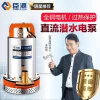 新款臣源直流潜水泵小型12V24V48V60伏 电动车电瓶水泵车高扬程抽水泵顶尚威廉