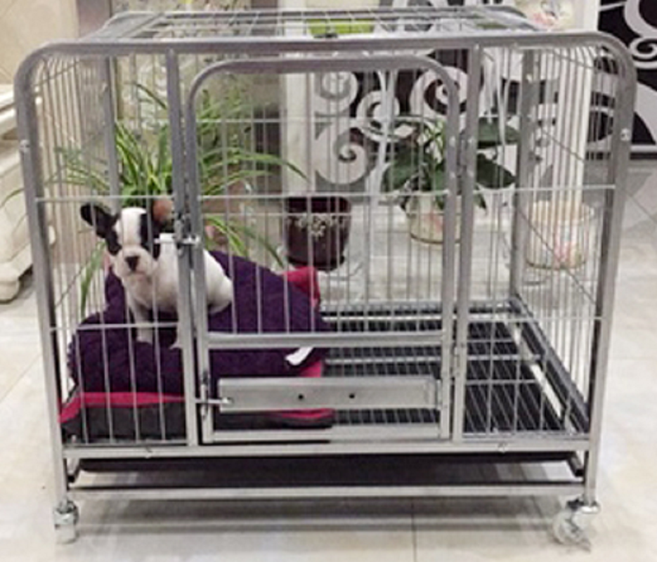 狗笼子泰迪狗狗笼子小型犬大中型犬带厕所宠物加粗笼子兔笼猫笼子 炫彩银单门54*37*49适合5斤