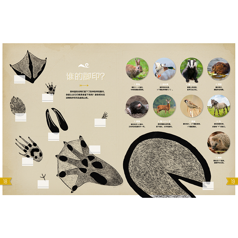 《我的自然游戏书》 [正版]东方娃娃自然科普《我的自然游戏书》6-12岁儿童书籍童书植物和动物之旅高清大图