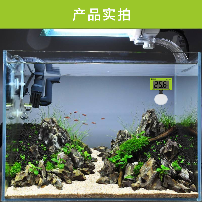 鱼缸温度计数显电子温度计液晶水温计高精度测温水族温度计测温器高清大图